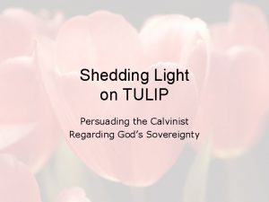 Shedding Light on TULIP Persuading the Calvinist Regarding