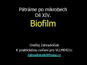 Ptrme po mikrobech Dl XIV Biofilm Ondej Zahradnek