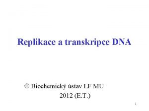 Replikace a transkripce DNA Biochemick stav LF MU