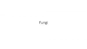 Fungi General Characteristics Primarily terrestrial Filamentous Hyphae Coenocytic