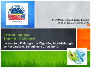 Prof Ms Leonardo Eduardo Ferreira Foz do Iguau