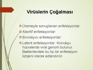 Virslerin oalmas remeyle sonulanan enfeksiyonlar Abortif enfeksiyonlar Snrlayc