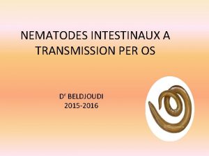 NEMATODES INTESTINAUX A TRANSMISSION PER OS D BELDJOUDI