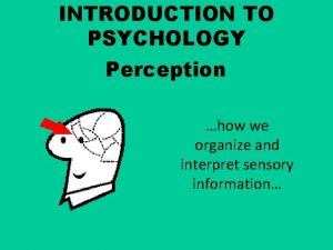 INTRODUCTION TO PSYCHOLOGY Perception how we organize and