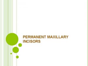 PERMANENT MAXILLARY INCISORS PERMANENT MAXILLARY INCISORS the maxillary