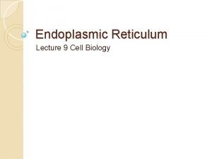 Endoplasmic Reticulum Lecture 9 Cell Biology INTRODUCTION In