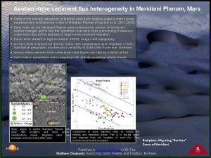 Aeolian dune sediment flux heterogeneity in Meridiani Planum