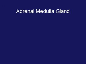 Adrenal Medulla Gland Adrenal Glands Medulla Adrenal medulla