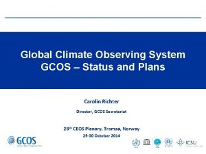 Global Climate Observing System GCOS Status and Plans