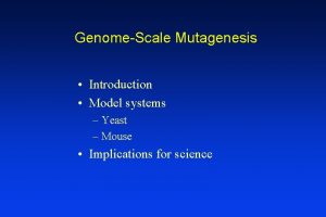 GenomeScale Mutagenesis Introduction Model systems Yeast Mouse Implications