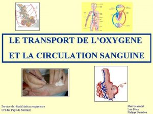 LE TRANSPORT DE LOXYGENE ET LA CIRCULATION SANGUINE