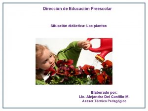 Direccin de Educacin Preescolar Situacin didctica Las plantas