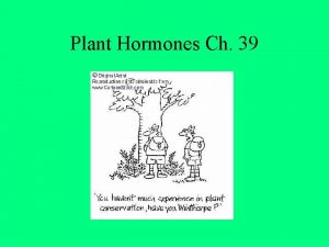 Plant Hormones Ch 39 I Plant Hormones A