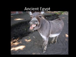 Ancient Egypt 3000 BCE to 332 BCE Ancient