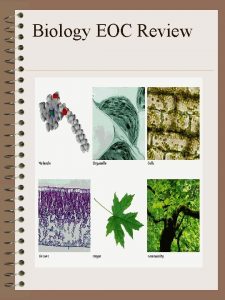 Biology EOC Review Science Methods Steps used to