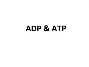 ADP ATP How are ATP and ADP alike