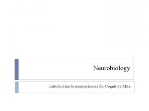Neurobiology Introduction to neurosciences for Cognitive MSs Edwin