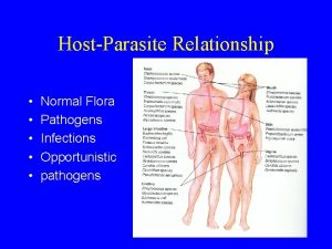 HostParasite Relationship Normal Flora Pathogens Infections Opportunistic pathogens