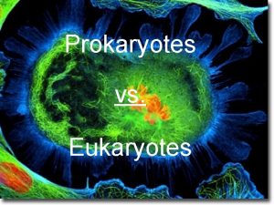 Prokaryotes vs Eukaryotes Prokaryotes A single celledorganism lacking
