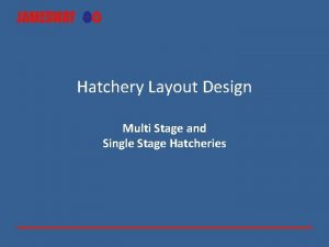 Hatchery Layout Design Multi Stage and Single Stage
