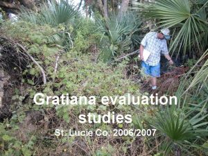 Gratiana evaluation studies St Lucie Co 20062007 Two