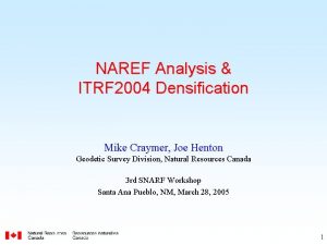 NAREF Analysis ITRF 2004 Densification Mike Craymer Joe