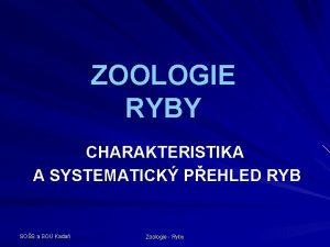 ZOOLOGIE RYBY CHARAKTERISTIKA A SYSTEMATICK PEHLED RYB SOS