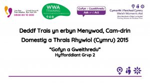 Deddf Trais yn erbyn Menywod Camdrin Domestig a