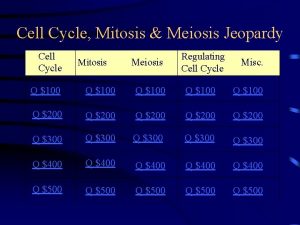 Cell Cycle Mitosis Meiosis Jeopardy Cell Cycle Mitosis