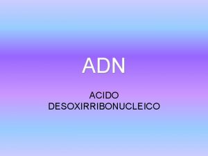 ADN ACIDO DESOXIRRIBONUCLEICO Introduccin Constituye la porcin prosttica