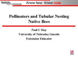 Know how Know now Pollinators and Tubular Nesting
