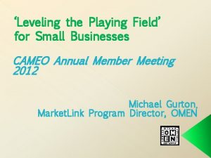 Leveling the Playing Field for Small Businesses CAMEO