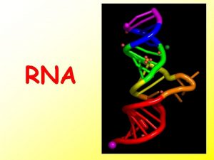 RNA m RNA informacijska RNA r RNA ribosomska