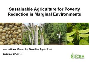 Sustainable Agriculture for Poverty Reduction in Marginal Environments