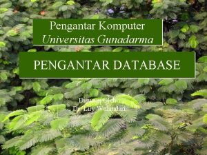 Pengantar Komputer Universitas Gunadarma PENGANTAR DATABASE Disusun Oleh