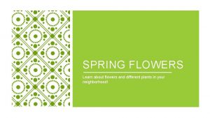 SPRING FLOWERS Learn about flowers and different plants