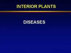 INTERIOR PLANTS DISEASES Disease Definition v Disease abnormality