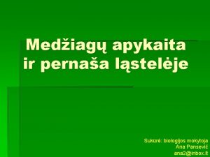 Mediag apykaita ir pernaa lstelje Sukr biologijos mokytoja