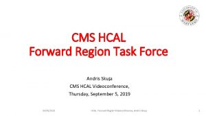 CMS HCAL Forward Region Task Force Andris Skuja