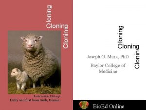 Cloning Joseph G Marx Ph D Baylor College