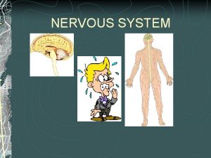 NERVOUS SYSTEM Major functions of the nervous systemthe