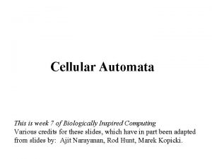 Cellular Automata This is week 7 of Biologically