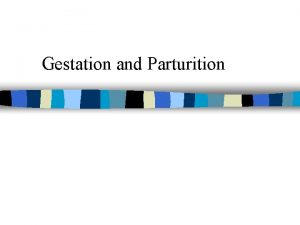Gestation and Parturition Gestation n Length of PREGNANCY