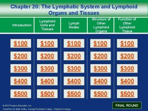 Chapter 20 The Lymphatic System and Lymphoid Organs