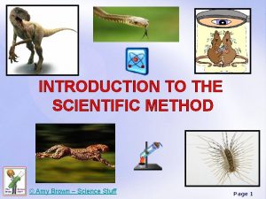INTRODUCTION TO THE SCIENTIFIC METHOD Amy Brown Science