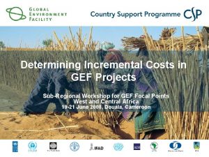 Determining Incremental Costs in GEF Projects SubRegional Workshop