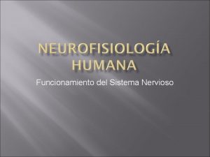 Funcionamiento del Sistema Nervioso Dr Jos Luis Durn