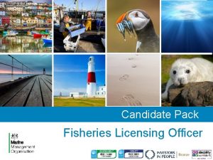 Candidate Pack Fisheries Licensing Officer Welcome About the