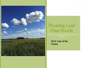 Floating Leaf Fine Foods Gourmet Sprouted Prairie MultiGrain