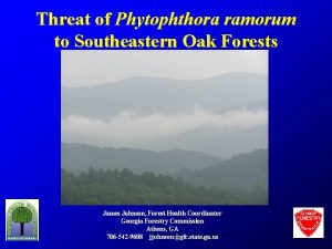 Threat of Phytophthora ramorum to Southeastern Oak Forests